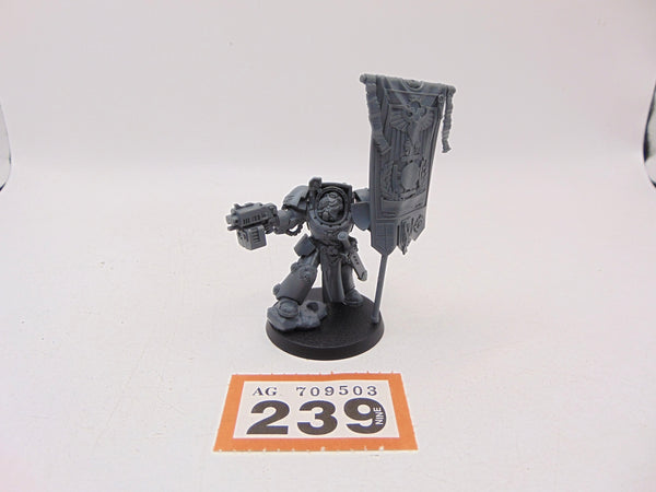 Ancient in Terminator Armour