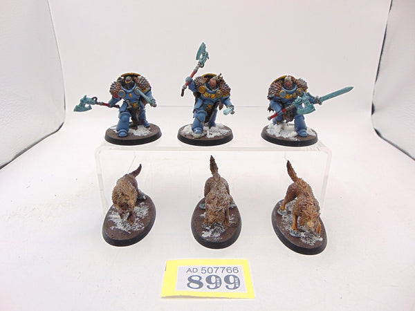 Wolf Guard Headtakers