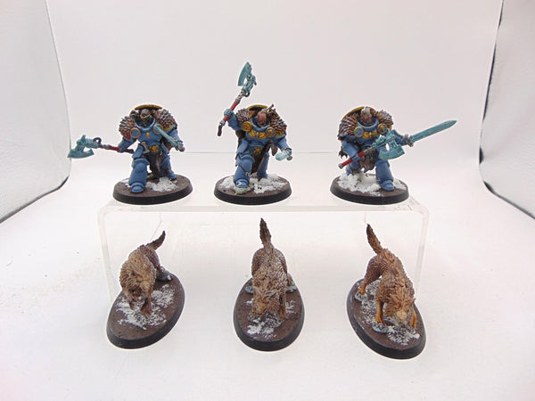 Wolf Guard Headtakers