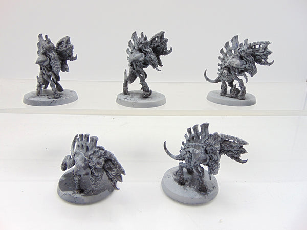 Barbgaunts