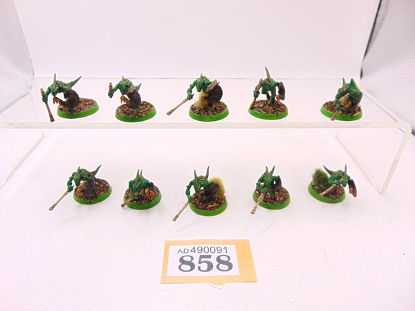 Skinks