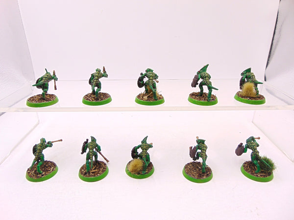 Skinks