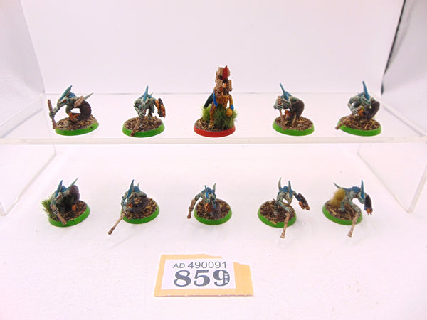 Skinks