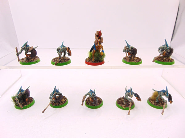 Skinks