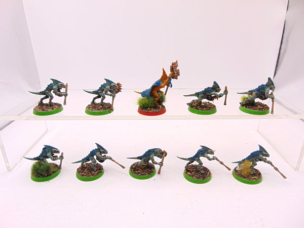 Skinks