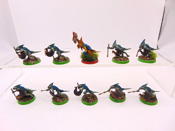 Skinks