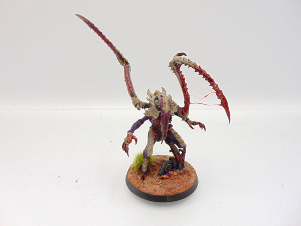 Lictor