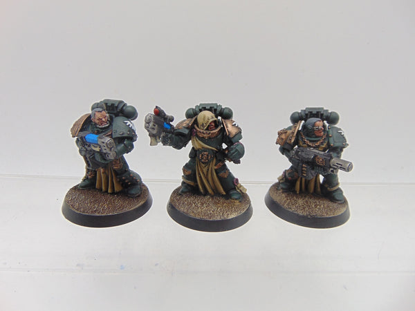 Sternguard Veterans