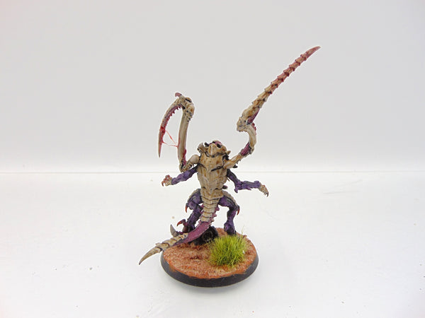 Lictor