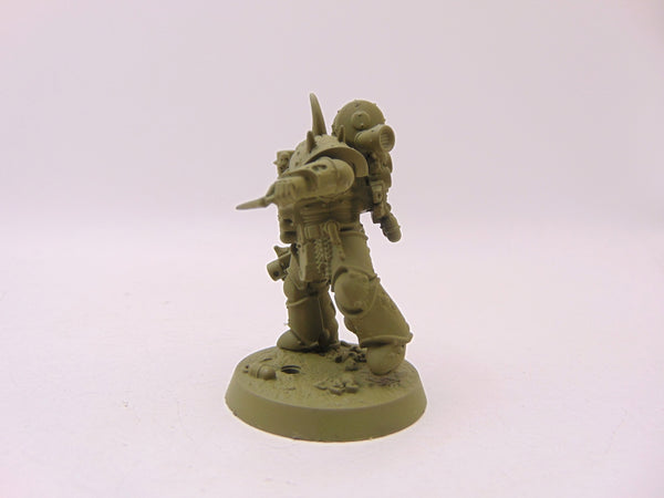 Kholerus