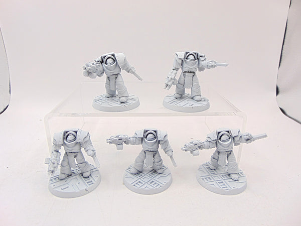 Cataphractii Terminator Squad