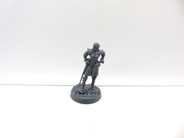 Rogue Trader