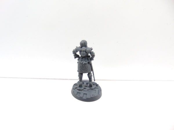 Rogue Trader