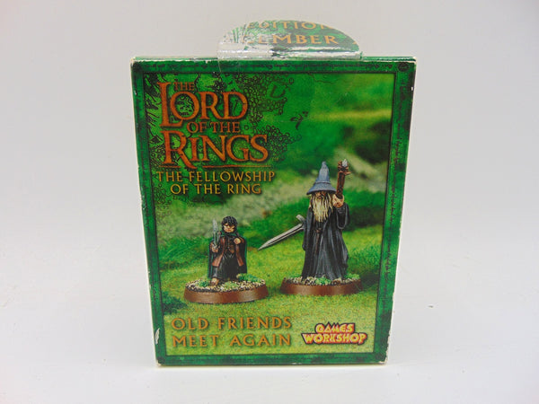 Old Friends Meet Again - Frodo & Gandalf the Grey