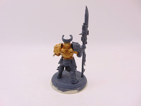 Shield Captain Valerian