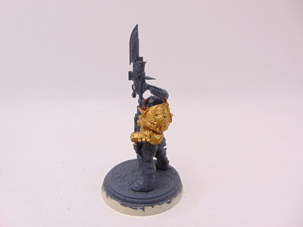 Shield Captain Valerian