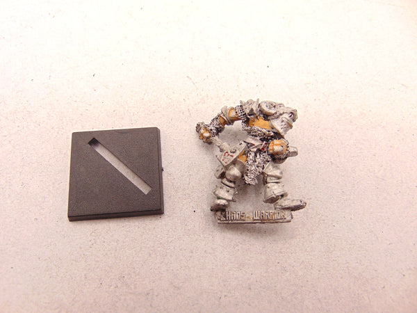 CH3 Krontharg Hornhelm Chaos Warrior