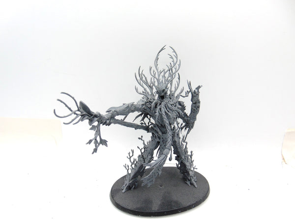 Treelord Ancient