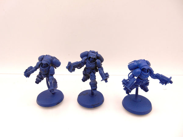 Inceptors