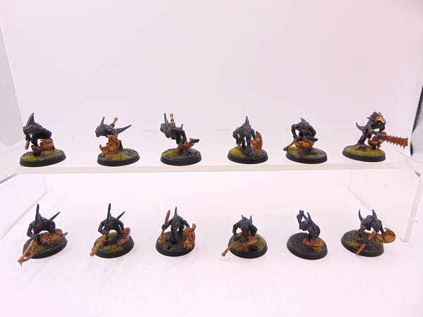 Skinks