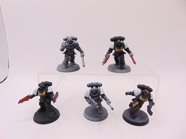Assault Intercessors