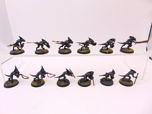 Skinks
