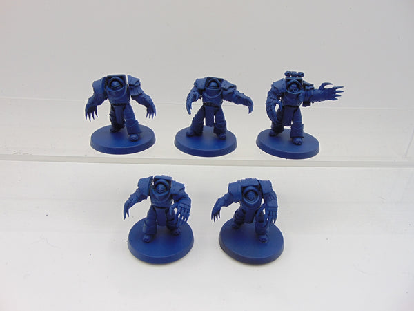 Cataphractii Terminators