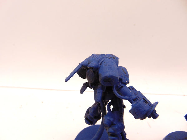Inceptors