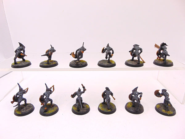 Skinks