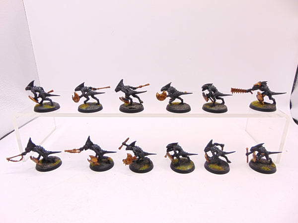 Skinks