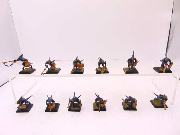 Skinks