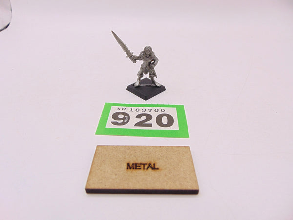 Marauder Elf Warrior