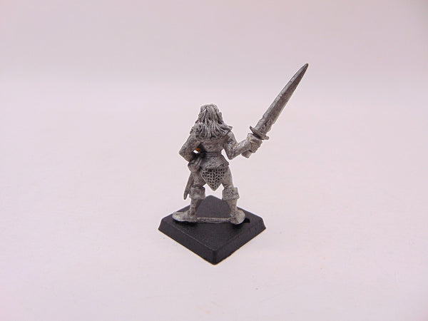 Marauder Elf Warrior