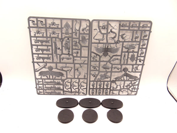 Vanguard Raptors & Aetherwings