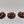 Canoptek Scarab Swarms