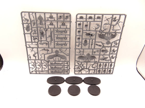 Vanguard Raptors & Aetherwings