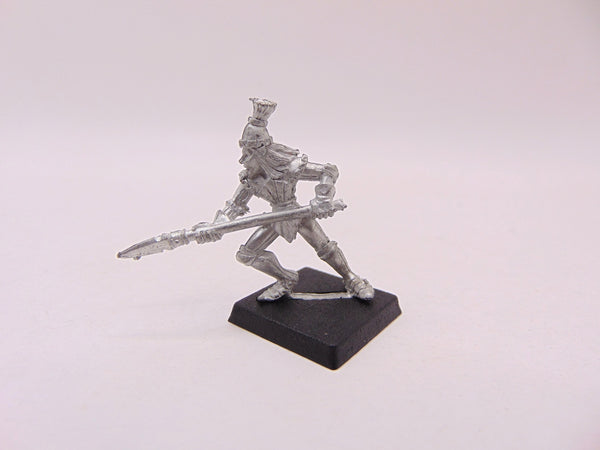 MM81 Marauder High Elf Warrior