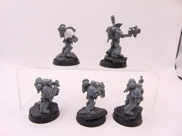 Sternguard Veterans Conversion