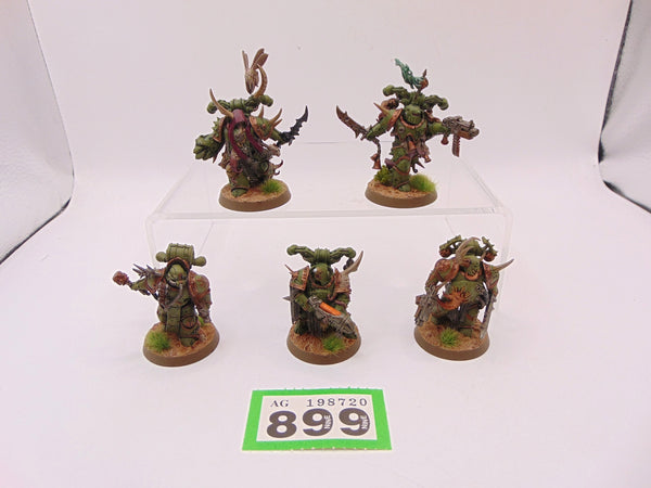 Plague Marines & Champion