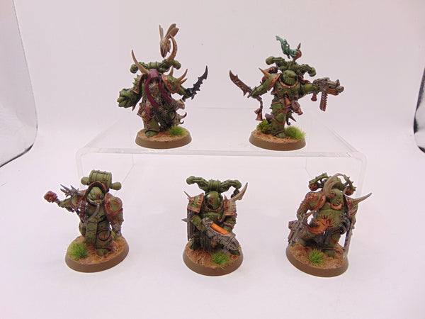 Plague Marines & Champion