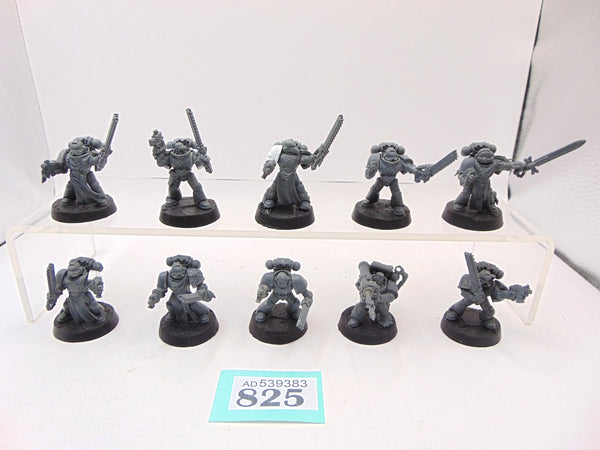 Crusader Squad
