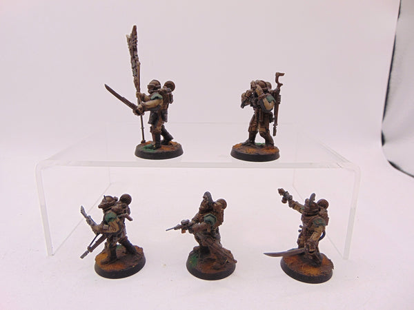 Solar Auxilia Command Section