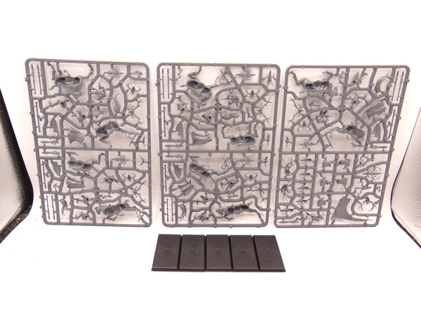 Wild Riders / Sisters of the Thorn