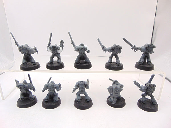 Crusader Squad
