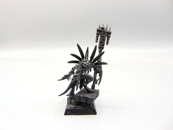 Skink Starpriest