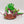 Tyrannofex