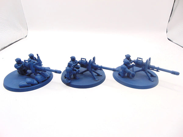 Cadian Heavy Weapon Squad