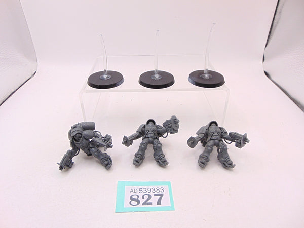 Inceptors