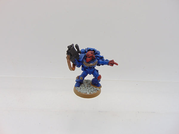 Sternguard Veteran