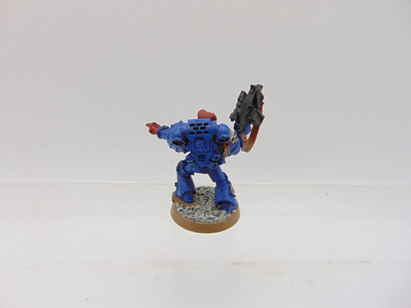 Sternguard Veteran